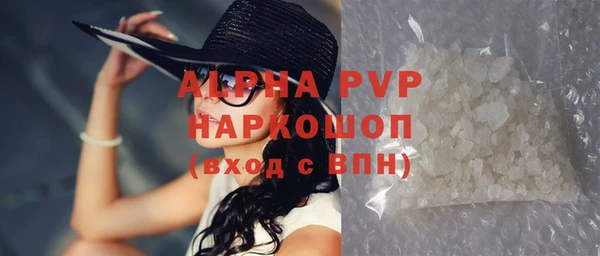 прущие грибы Абаза