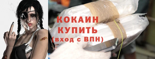 прущие грибы Абаза