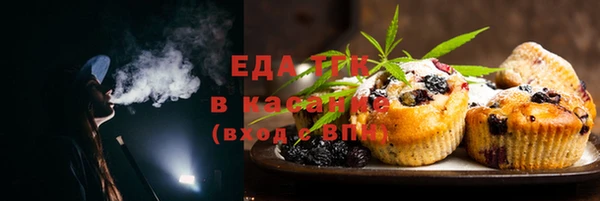 прущие грибы Абаза
