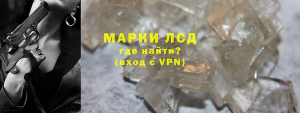 прущие грибы Абаза