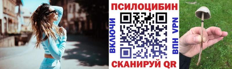 Псилоцибиновые грибы Magic Shrooms  сколько стоит  Химки 