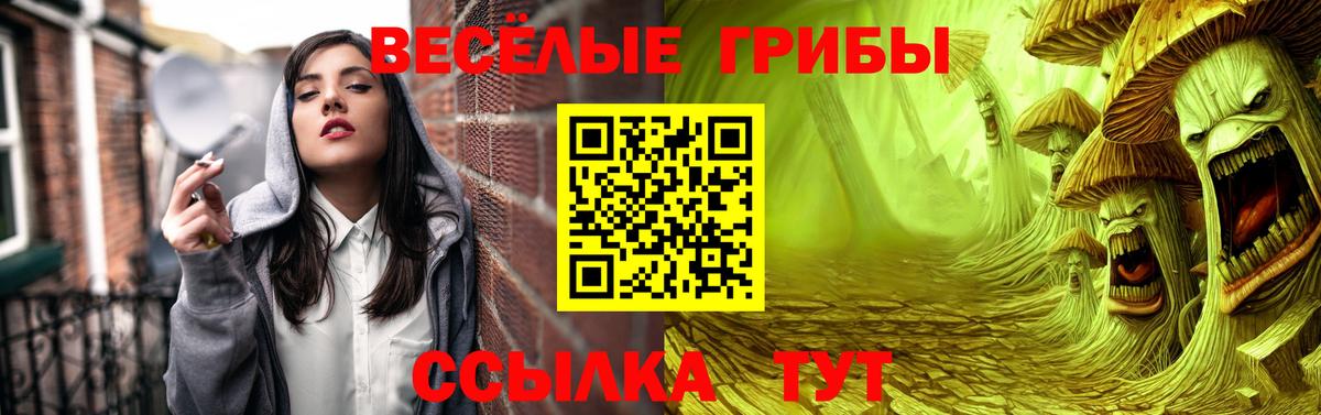 продажа наркотиков  Галлюциногенные грибы ЛСД  Вход с VPN  Химки 